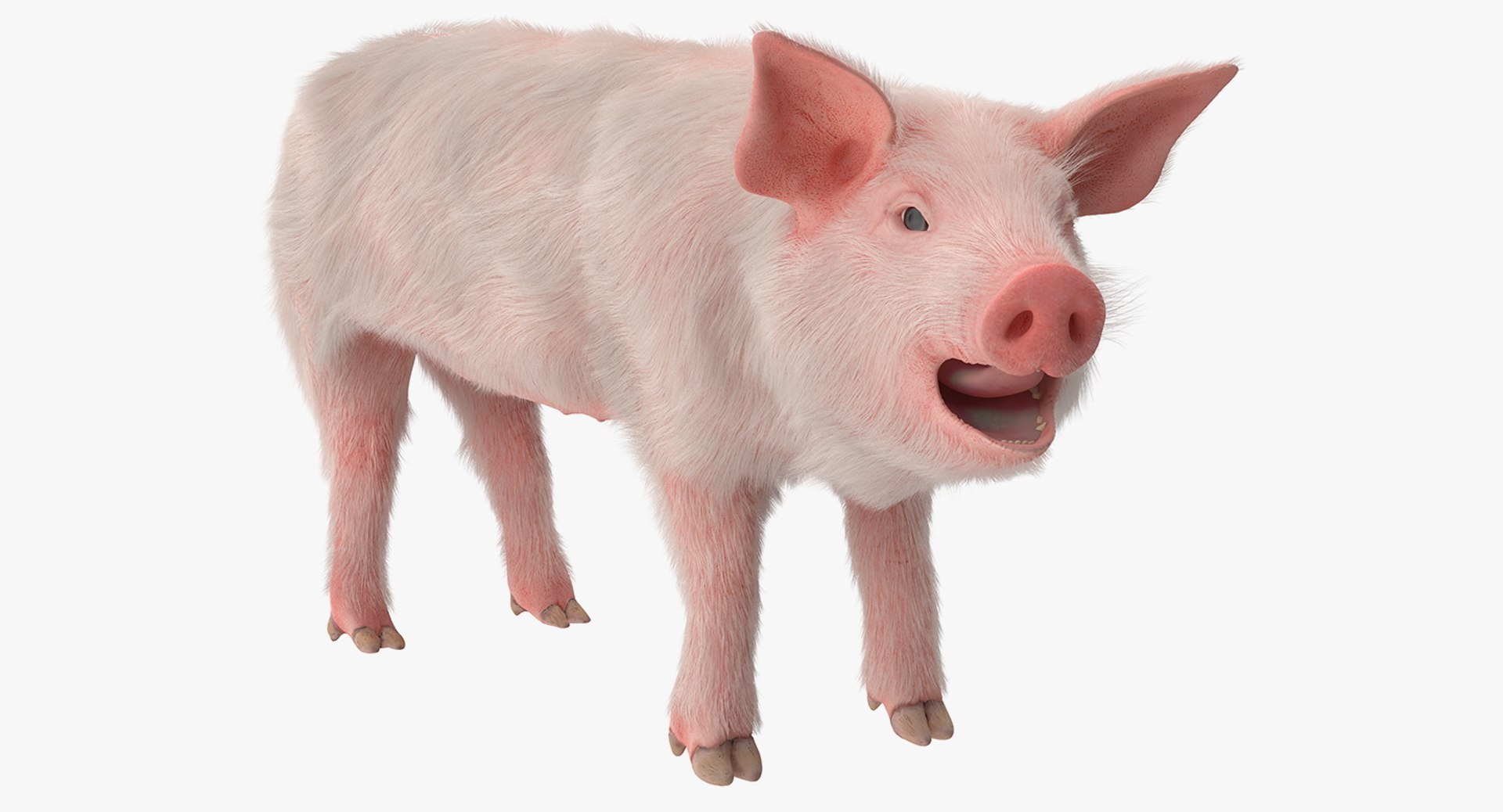 rigged farm animals big 3D model https://p.turbosquid.com/ts-thumb/1o/68NALx/7ISdm96U/riggedfarmanimalsbigcollection23dmodel039/jpg/1577594059/1920x1080/fit_q87/c8c9a34b6b10d0eafb9a4d4f01fcd033a3b047af/riggedfarmanimalsbigcollection23dmodel039.jpg