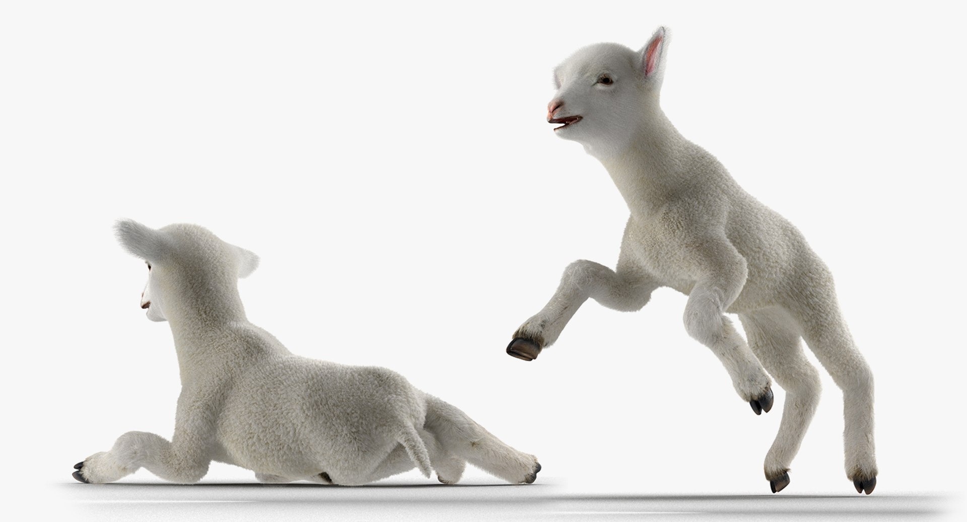 rigged farm animals big 3D model https://p.turbosquid.com/ts-thumb/1o/68NALx/BE30SDTc/riggedfarmanimalsbigcollection23dmodel101/jpg/1577594060/1920x1080/fit_q87/222c53eae7cb057974c5a43e7fd58b5c932f67b2/riggedfarmanimalsbigcollection23dmodel101.jpg