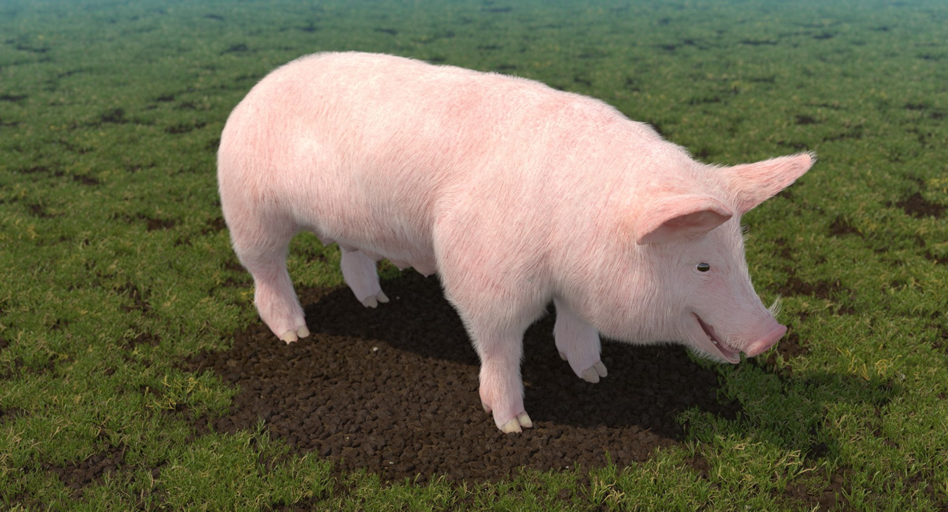 rigged farm animals big 3D model https://p.turbosquid.com/ts-thumb/1o/68NALx/BzvqXU88/riggedfarmanimalsbigcollection23dmodel032/jpg/1577594059/1920x1080/fit_q87/313da5681ba793087d815fceeb3017a62384fac0/riggedfarmanimalsbigcollection23dmodel032.jpg