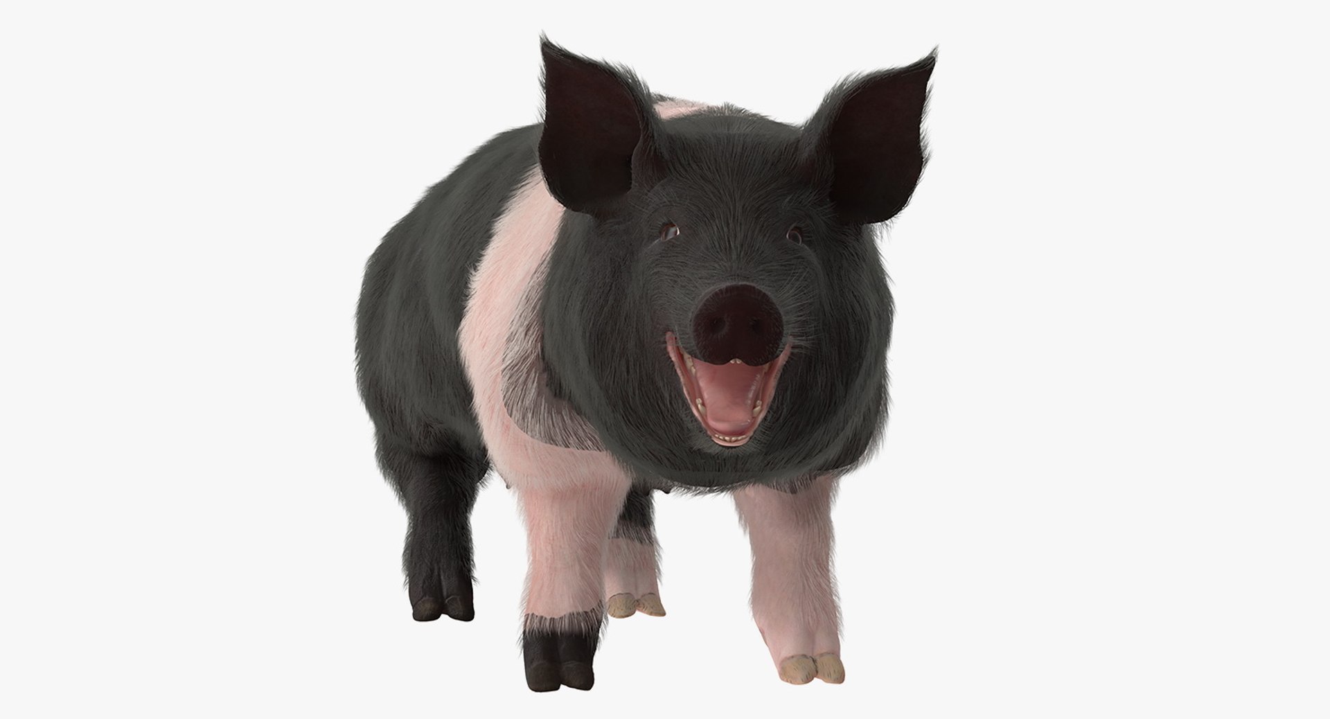 rigged farm animals big 3D model https://p.turbosquid.com/ts-thumb/1o/68NALx/IT59RzcN/riggedfarmanimalsbigcollection23dmodel013/jpg/1577594058/1920x1080/fit_q87/07158b76a26e9076a56568671068795db239abba/riggedfarmanimalsbigcollection23dmodel013.jpg