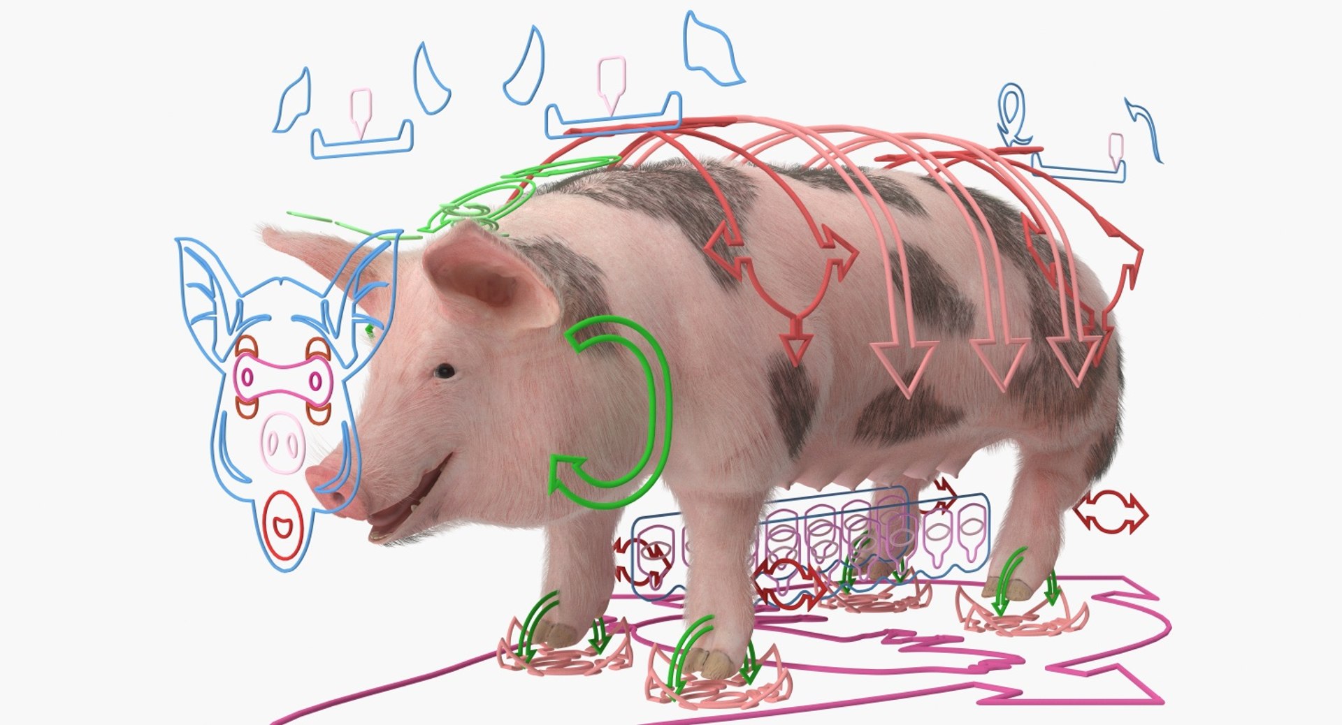 rigged farm animals big 3D model https://p.turbosquid.com/ts-thumb/1o/68NALx/IkK9QPns/riggedfarmanimalsbigcollection23dmodel033/jpg/1577594059/1920x1080/fit_q87/f5b629e33634b2f1189cadecafcd99d7b0a45870/riggedfarmanimalsbigcollection23dmodel033.jpg