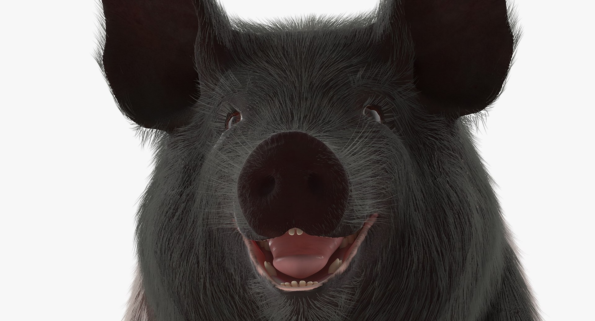 rigged farm animals big 3D model https://p.turbosquid.com/ts-thumb/1o/68NALx/L0Z3tU3q/riggedfarmanimalsbigcollection23dmodel019/jpg/1577594059/1920x1080/fit_q87/c4461047f85411cdd0c7b18d66c570548f2fb4fb/riggedfarmanimalsbigcollection23dmodel019.jpg