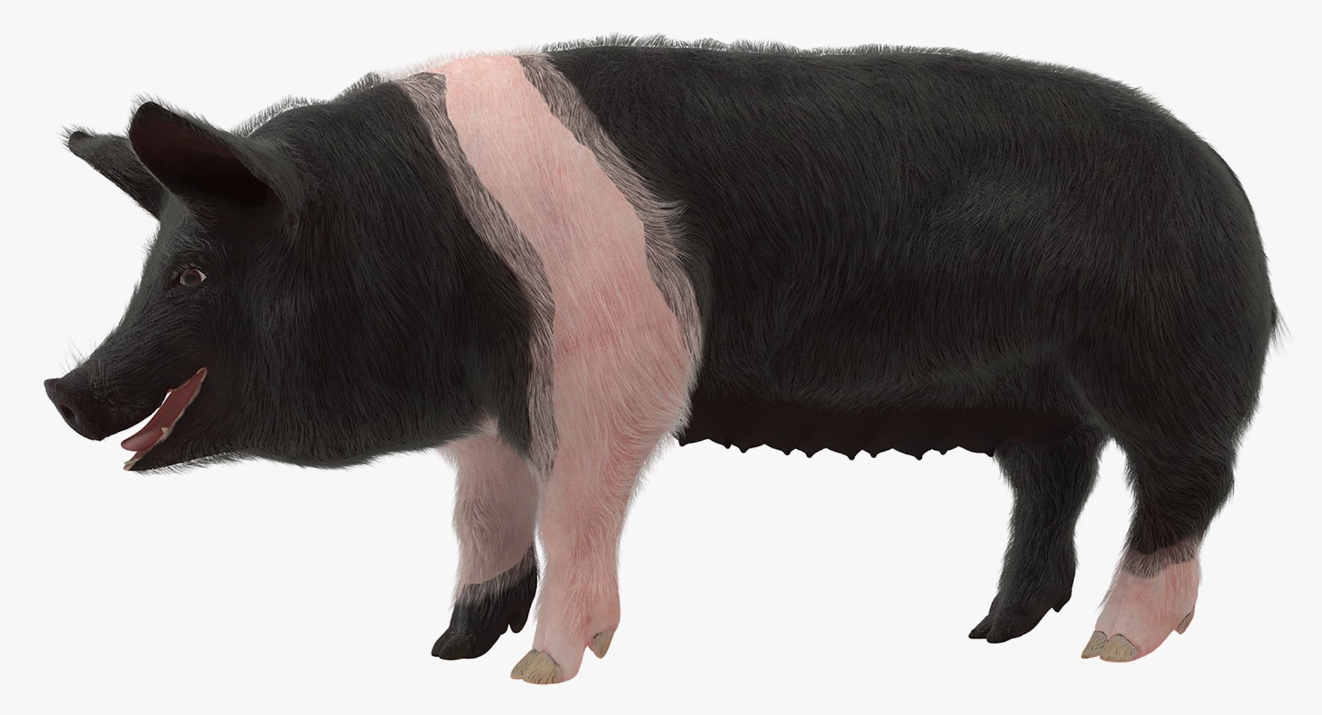 rigged farm animals big 3D model https://p.turbosquid.com/ts-thumb/1o/68NALx/LwXL1VgS/riggedfarmanimalsbigcollection23dmodel017/jpg/1577594059/1920x1080/fit_q87/27a7ff5a2db5f8935ee64f4c55548cf30392440d/riggedfarmanimalsbigcollection23dmodel017.jpg