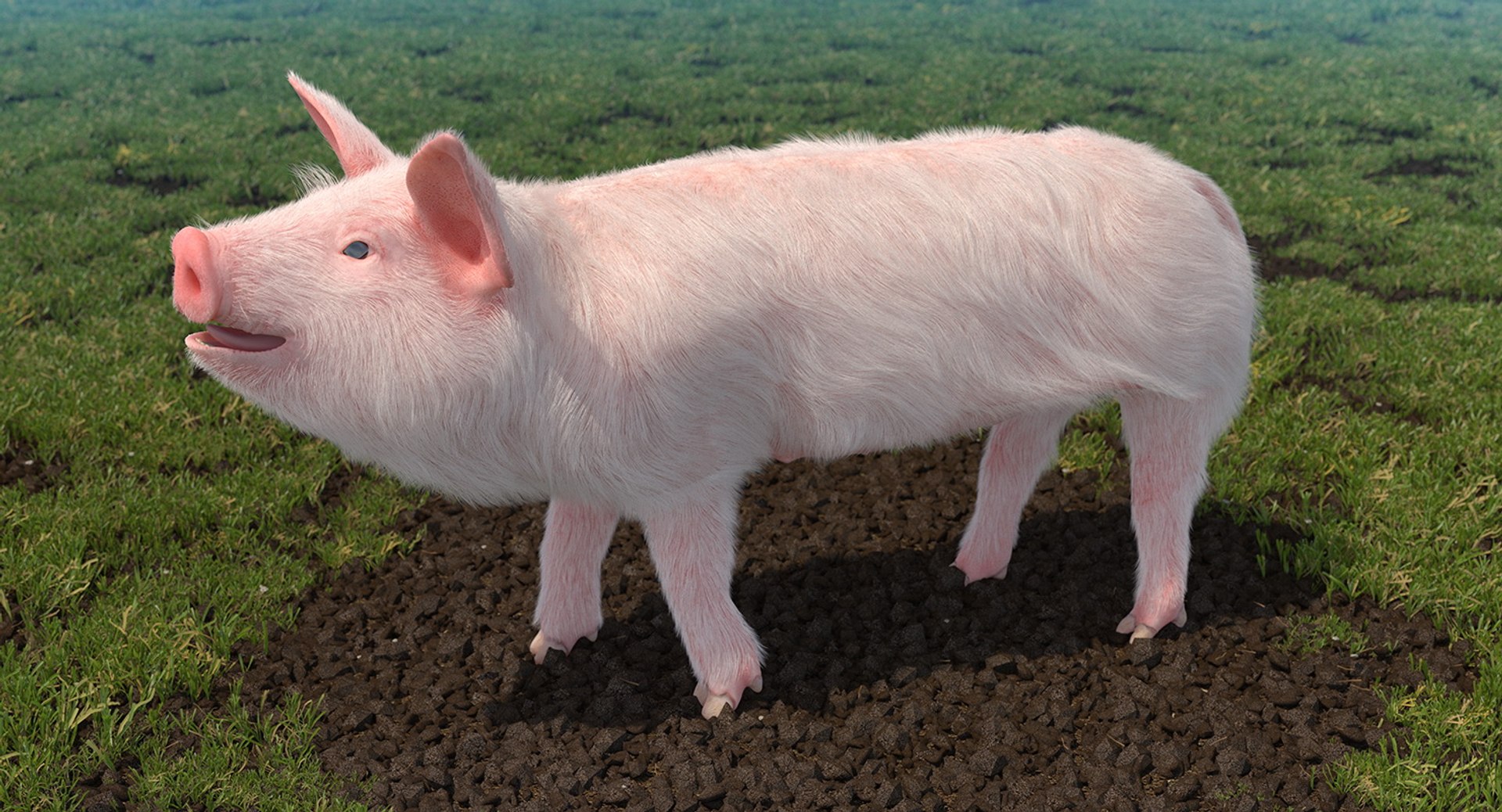 rigged farm animals big 3D model https://p.turbosquid.com/ts-thumb/1o/68NALx/Mqh5Lowh/riggedfarmanimalsbigcollection23dmodel040/jpg/1577594059/1920x1080/fit_q87/3a96a1df8c0fdde9d22533fa25ffc8f95b5da1e2/riggedfarmanimalsbigcollection23dmodel040.jpg