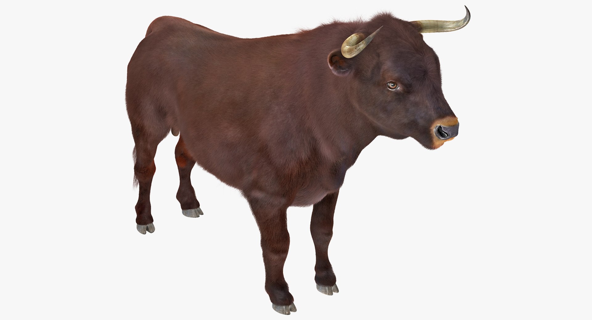 rigged farm animals big 3D model https://p.turbosquid.com/ts-thumb/1o/68NALx/NkkpDC0o/riggedfarmanimalsbigcollection23dmodel066/jpg/1577594060/1920x1080/fit_q87/e9d04501741afe704873acc211c981caf2c1ca9a/riggedfarmanimalsbigcollection23dmodel066.jpg