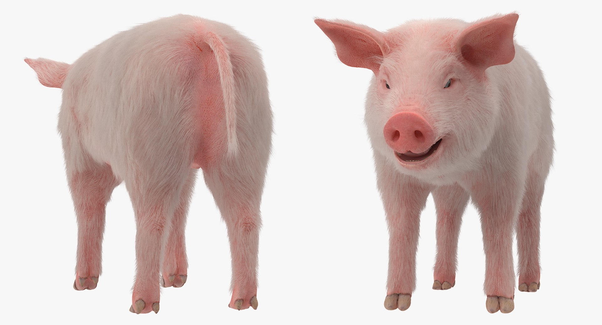 rigged farm animals big 3D model https://p.turbosquid.com/ts-thumb/1o/68NALx/PriM99es/riggedfarmanimalsbigcollection23dmodel042/jpg/1577594059/1920x1080/fit_q87/fcbc0c37dde5e0297324ecfa46607bcaf6e086ca/riggedfarmanimalsbigcollection23dmodel042.jpg