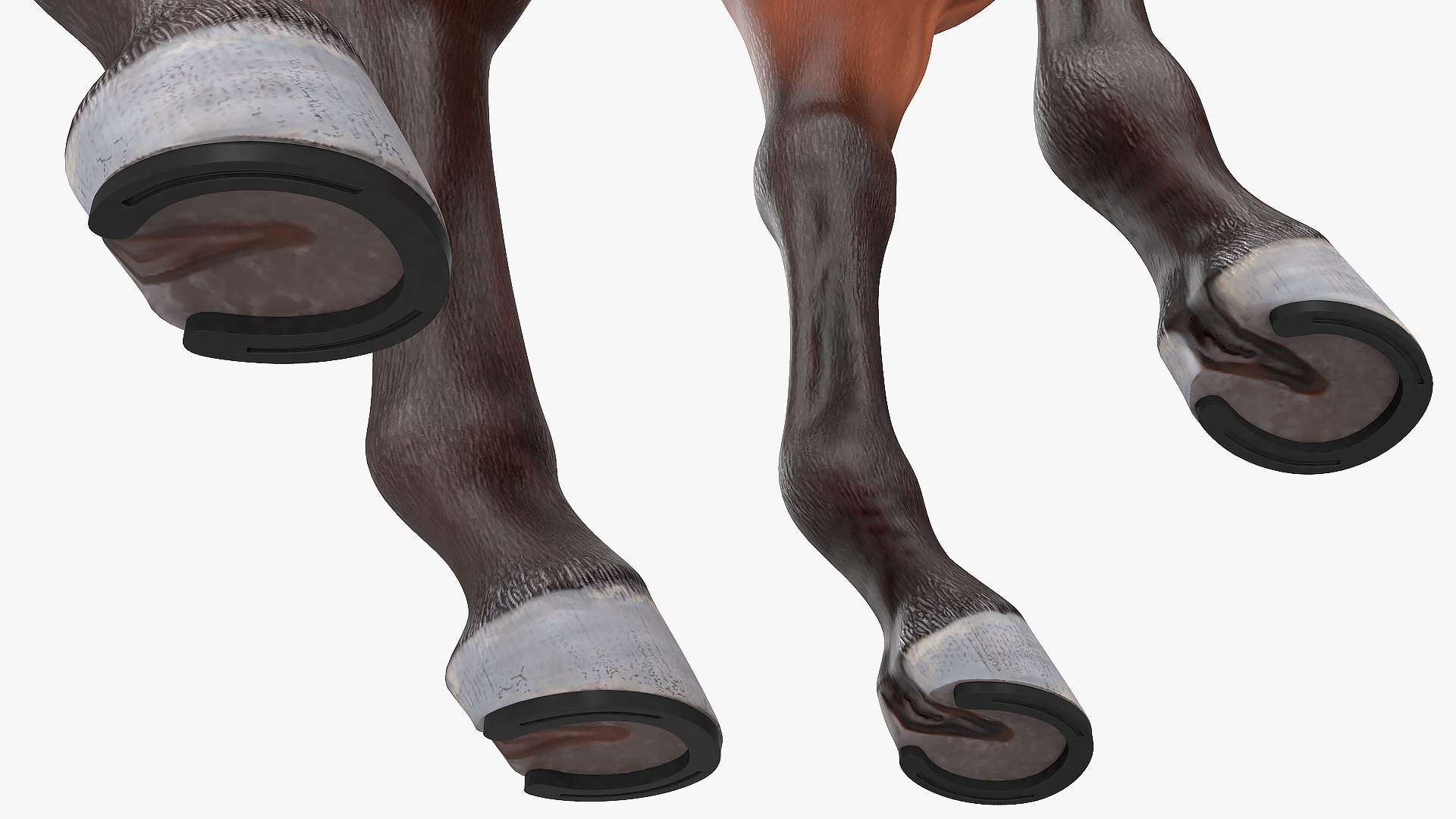 rigged farm animals big 3D model https://p.turbosquid.com/ts-thumb/1o/68NALx/QFF2smii/riggedfarmanimalsbigcollection23dmodel010/jpg/1577594058/1920x1080/fit_q87/89b7e42909681446fd0bb51a1884526e876d66d6/riggedfarmanimalsbigcollection23dmodel010.jpg