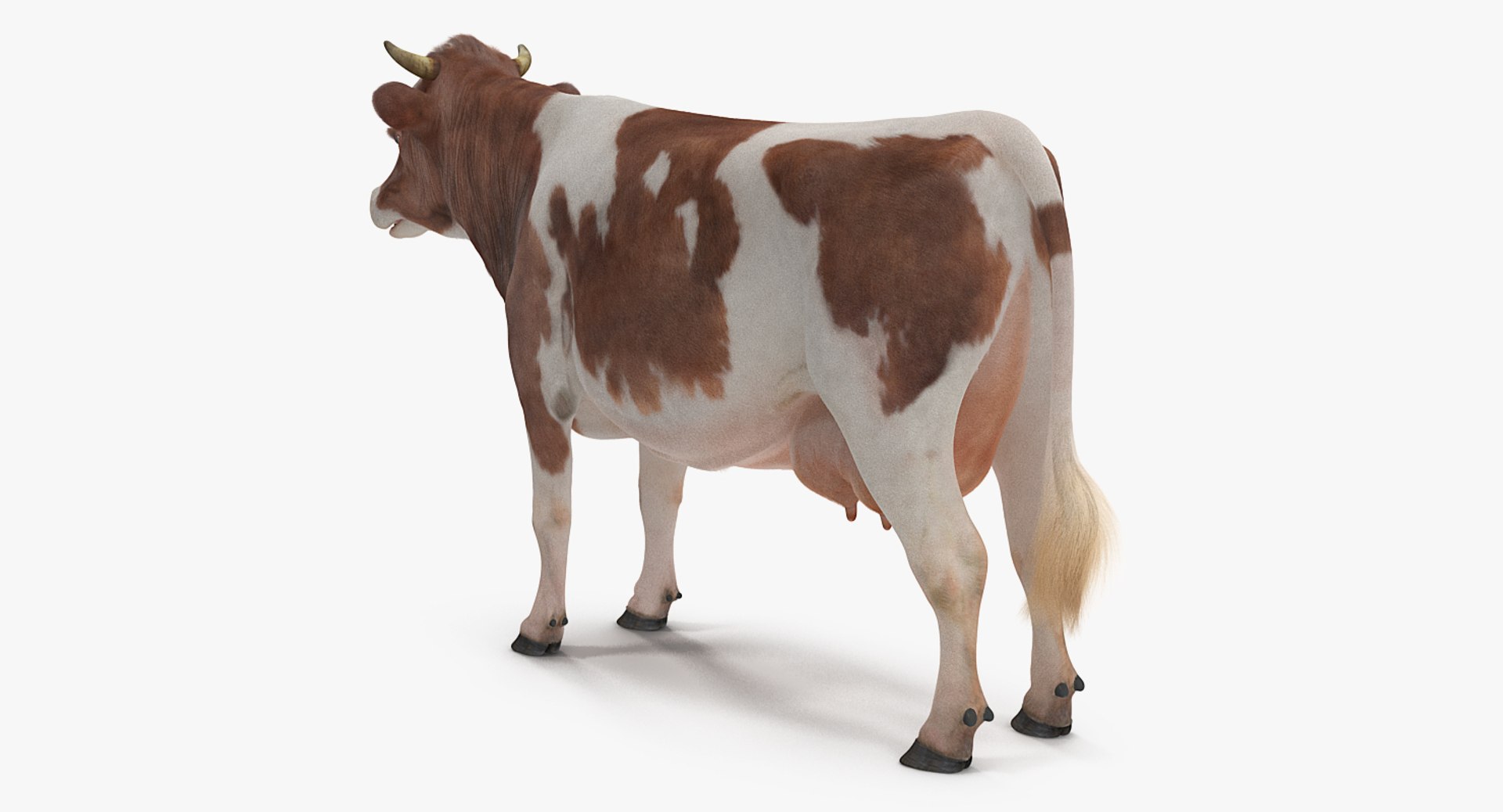 rigged farm animals big 3D model https://p.turbosquid.com/ts-thumb/1o/68NALx/RwyQgB4s/riggedfarmanimalsbigcollection23dmodel059/jpg/1577594059/1920x1080/fit_q87/864f4c6c69de3eaf3b6a96b72497d8d5abb2807b/riggedfarmanimalsbigcollection23dmodel059.jpg