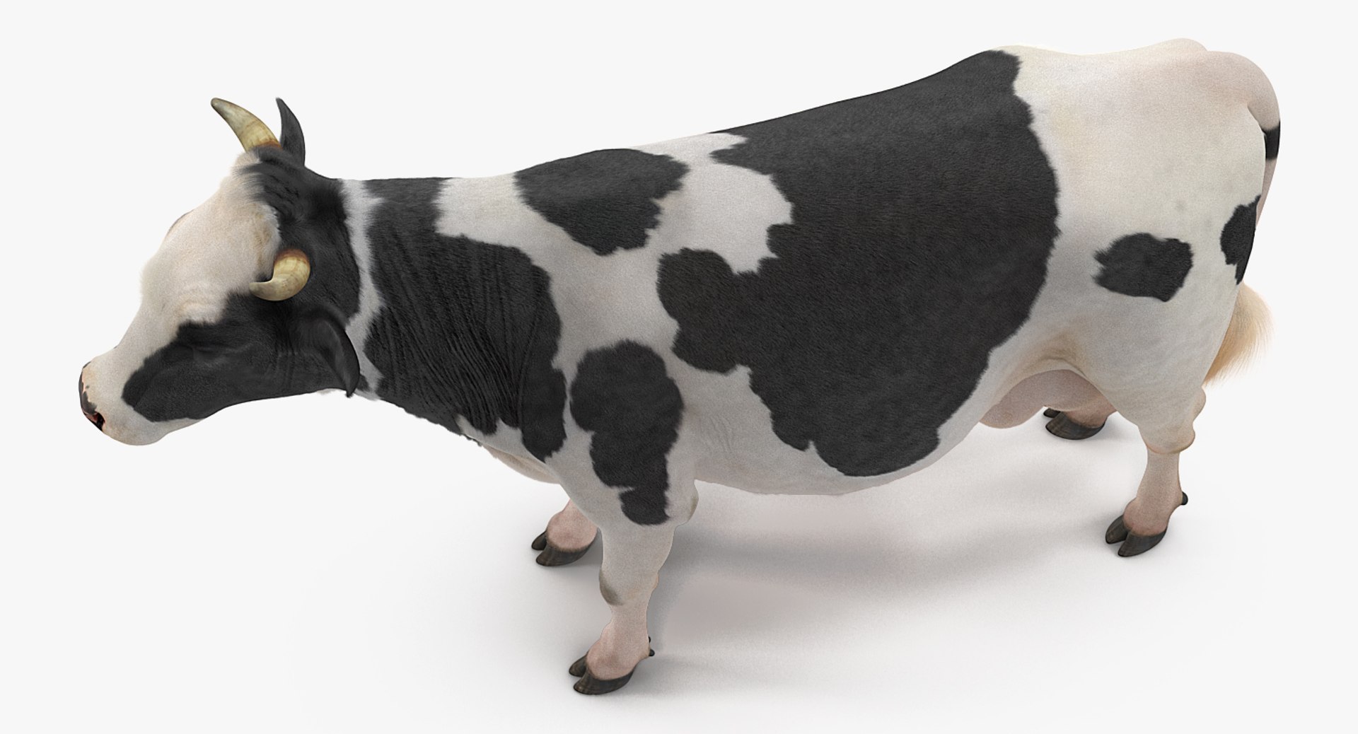 rigged farm animals big 3D model https://p.turbosquid.com/ts-thumb/1o/68NALx/T0IQmwbF/riggedfarmanimalsbigcollection23dmodel051/jpg/1577594059/1920x1080/fit_q87/b2056032f281612df659f74911c211797dcb3f0c/riggedfarmanimalsbigcollection23dmodel051.jpg