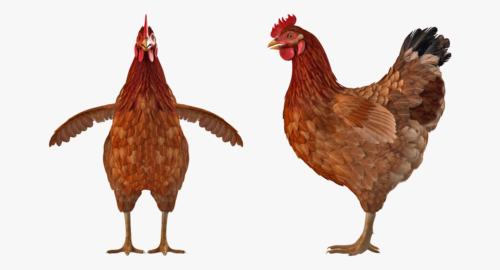 rigged farm animals big 3D model https://p.turbosquid.com/ts-thumb/1o/68NALx/TLe7fwCR/riggedfarmanimalsbigcollection23dmodel086/jpg/1577594060/1920x1080/fit_q87/7e620350a4f5d957658eac9d7f1141d42a110f44/riggedfarmanimalsbigcollection23dmodel086.jpg