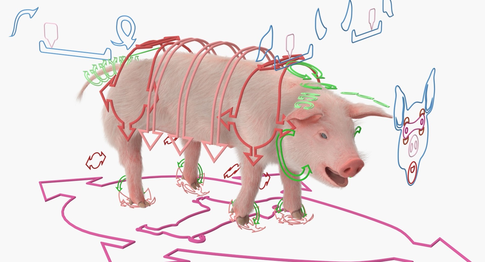 rigged farm animals big 3D model https://p.turbosquid.com/ts-thumb/1o/68NALx/UguZQ89J/riggedfarmanimalsbigcollection23dmodel041/jpg/1577594059/1920x1080/fit_q87/2b8f424db0026b3be0ddec6d3651eac938fcb0cf/riggedfarmanimalsbigcollection23dmodel041.jpg