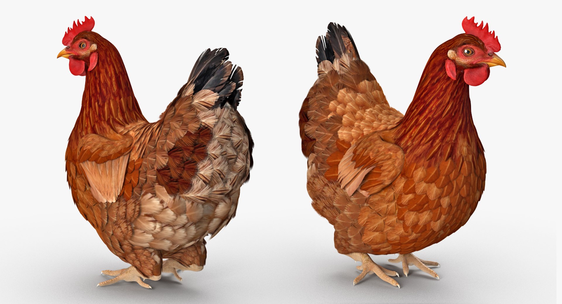 rigged farm animals big 3D model https://p.turbosquid.com/ts-thumb/1o/68NALx/XfBXrDkQ/riggedfarmanimalsbigcollection23dmodel089/jpg/1577594060/1920x1080/fit_q87/056b116cc46e38897e092ede50af60e92b05a21e/riggedfarmanimalsbigcollection23dmodel089.jpg