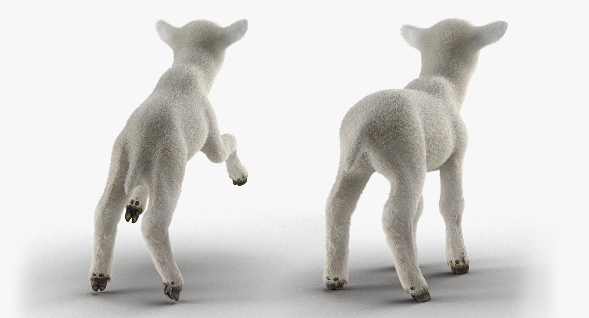 rigged farm animals big 3D model https://p.turbosquid.com/ts-thumb/1o/68NALx/aNf8yao8/riggedfarmanimalsbigcollection23dmodel102/jpg/1577594060/1920x1080/fit_q87/e0481cb39df24c82edee0579534abc67edfab6ab/riggedfarmanimalsbigcollection23dmodel102.jpg