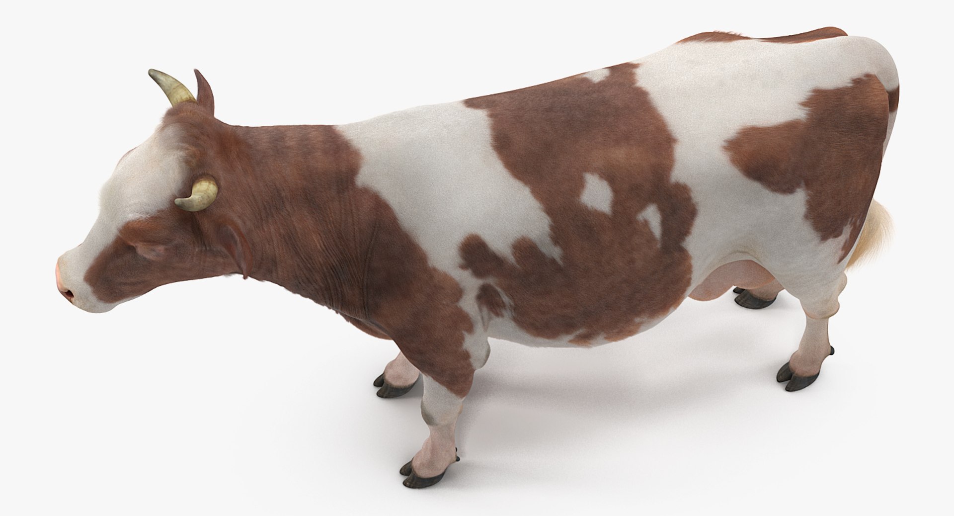 rigged farm animals big 3D model https://p.turbosquid.com/ts-thumb/1o/68NALx/dluavvXQ/riggedfarmanimalsbigcollection23dmodel060/jpg/1577594059/1920x1080/fit_q87/ab6546dbc4bd7a7d41fae323dbc40f553e795281/riggedfarmanimalsbigcollection23dmodel060.jpg