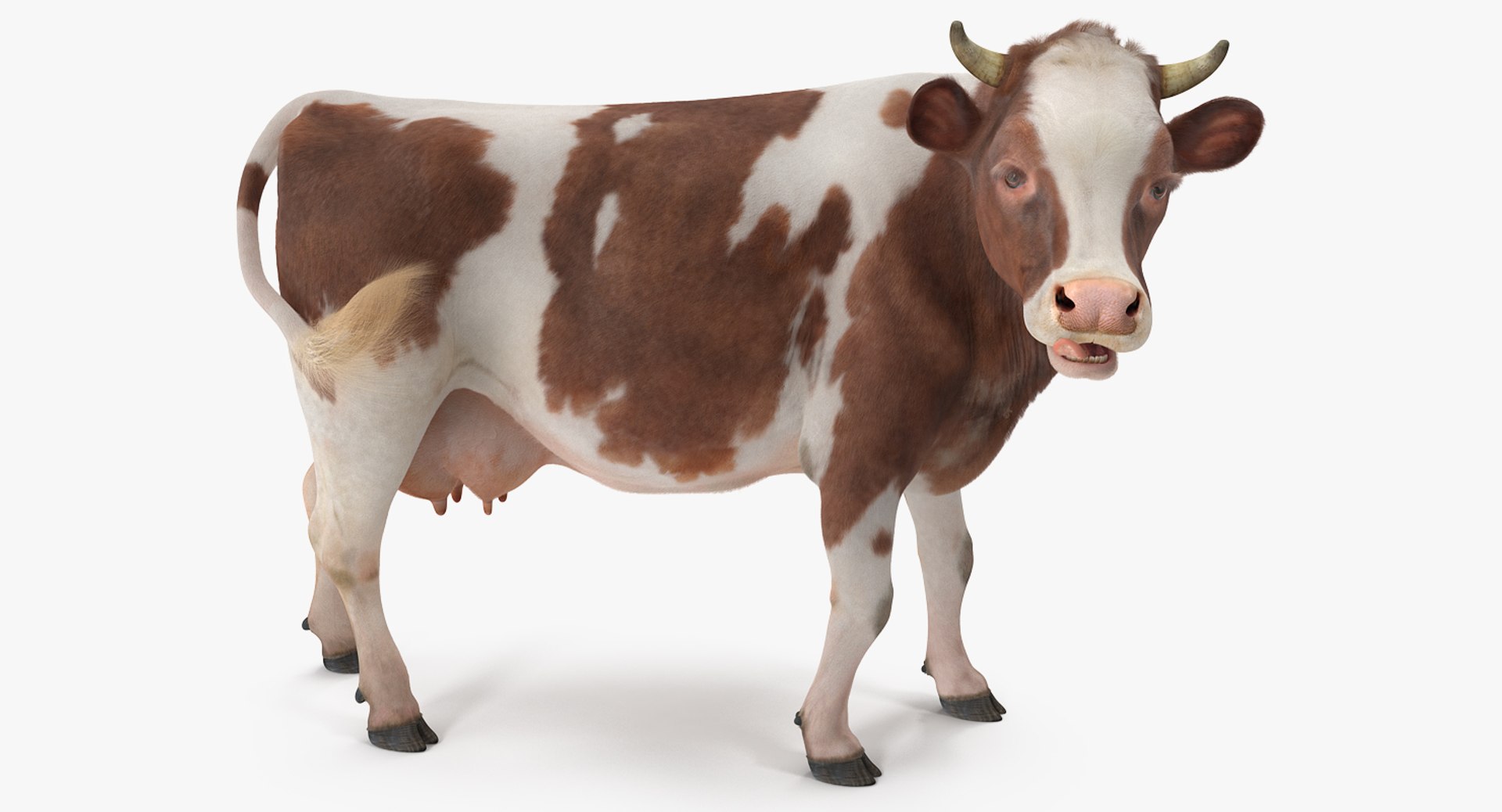 rigged farm animals big 3D model https://p.turbosquid.com/ts-thumb/1o/68NALx/lfbDabpT/riggedfarmanimalsbigcollection23dmodel056/jpg/1577594059/1920x1080/fit_q87/2578640f4228d6059091239aede93715292a0ee4/riggedfarmanimalsbigcollection23dmodel056.jpg