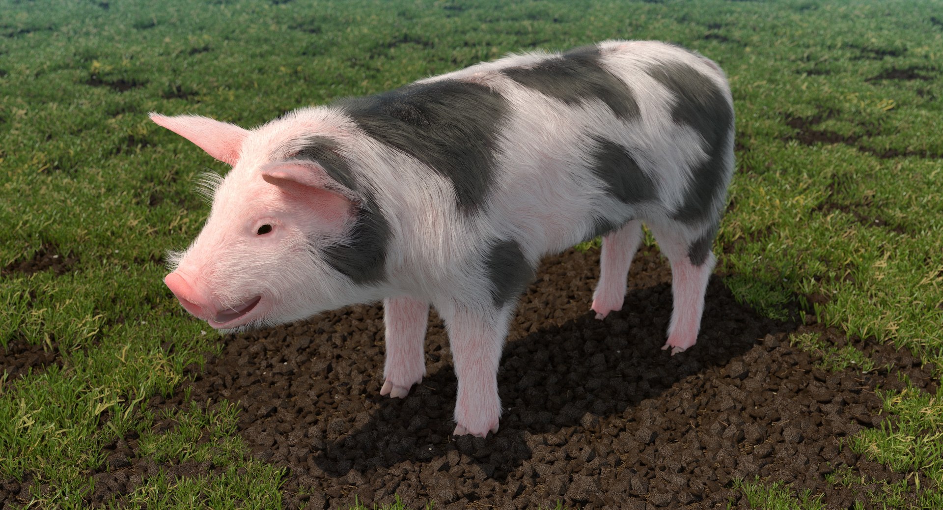 rigged farm animals big 3D model https://p.turbosquid.com/ts-thumb/1o/68NALx/nrQM89WM/riggedfarmanimalsbigcollection23dmodel023/jpg/1577594059/1920x1080/fit_q87/01d830aaee04cf4adc2b3fa21f2c8c20689021ac/riggedfarmanimalsbigcollection23dmodel023.jpg