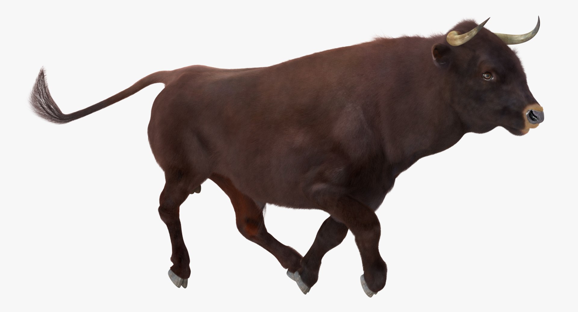 rigged farm animals big 3D model https://p.turbosquid.com/ts-thumb/1o/68NALx/tpeRHuO1/riggedfarmanimalsbigcollection23dmodel069/jpg/1577594060/1920x1080/fit_q87/53c5c9d83ff5a3d151af376fac775197ee6d5cc4/riggedfarmanimalsbigcollection23dmodel069.jpg