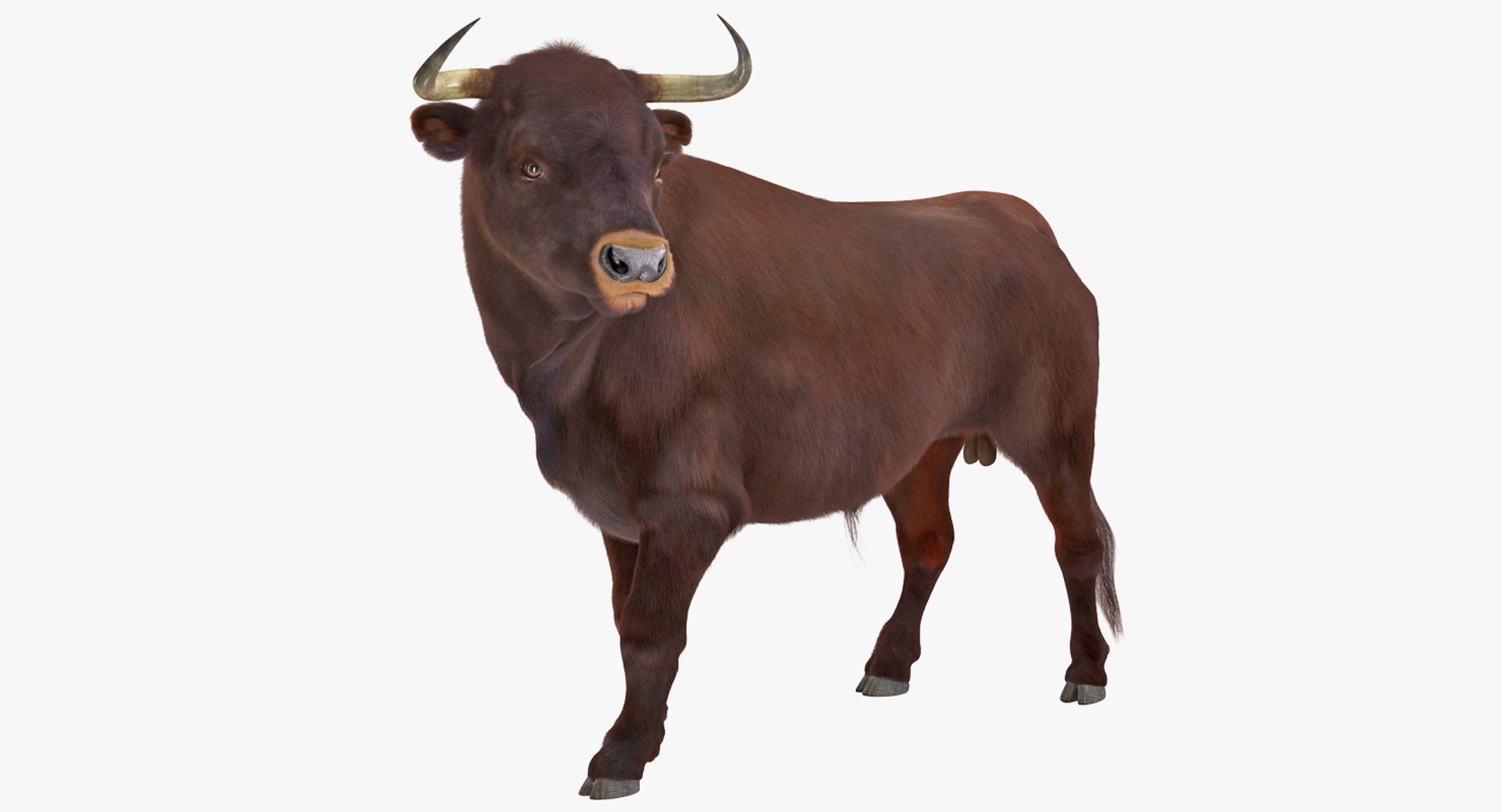rigged farm animals big 3D model https://p.turbosquid.com/ts-thumb/1o/68NALx/xCw5RkBo/riggedfarmanimalsbigcollection23dmodel068/jpg/1577594060/1920x1080/fit_q87/dd43951f2849c065942218f3d1173492771a23fe/riggedfarmanimalsbigcollection23dmodel068.jpg