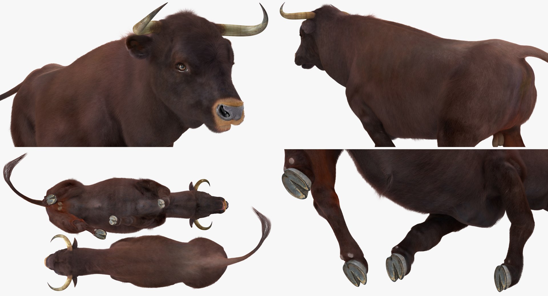 rigged farm animals big 3D model https://p.turbosquid.com/ts-thumb/1o/68NALx/y7BbDQWT/riggedfarmanimalsbigcollection23dmodel072/jpg/1577594060/1920x1080/fit_q87/bd80a2873a21f2f35eaad933ab78aced37d2f9ad/riggedfarmanimalsbigcollection23dmodel072.jpg