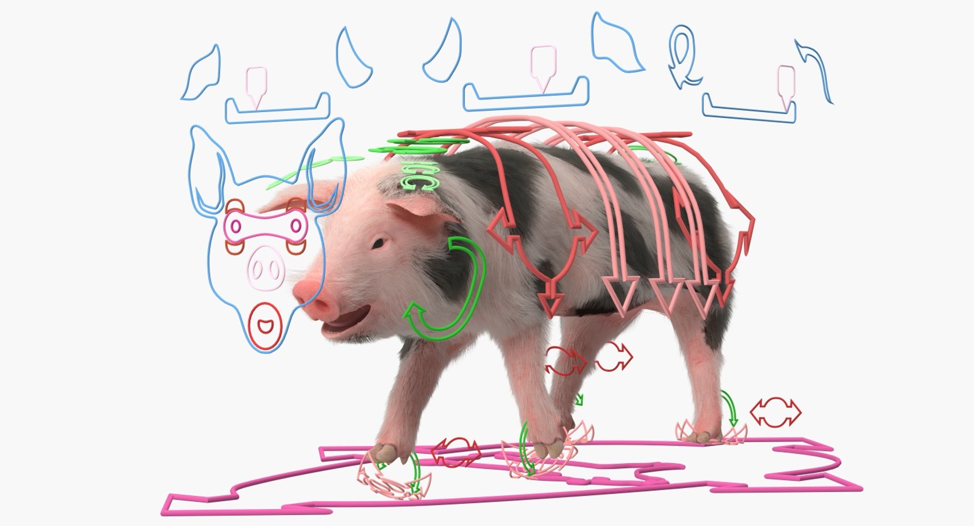 rigged farm animals big 3D model https://p.turbosquid.com/ts-thumb/1o/68NALx/zdrOAsGf/riggedfarmanimalsbigcollection23dmodel024/jpg/1577594059/1920x1080/fit_q87/e2258f2cfdac5c10307ef78f66e3d08befc1afef/riggedfarmanimalsbigcollection23dmodel024.jpg