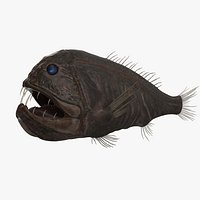 Fangtooth Fish Dark