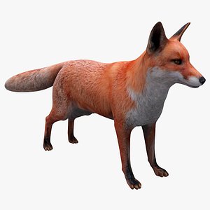 Red Fox Animal - Blender Market