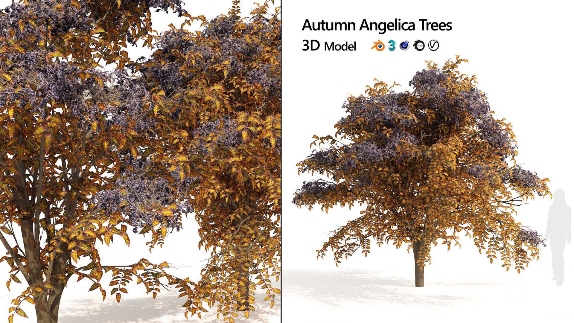 3D Optimized Medium-poly 3D Tree Collection 65 Assets - TurboSquid 2271753