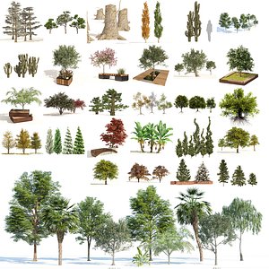 3D Optimized Medium-poly 3D Tree Collection 65 Assets