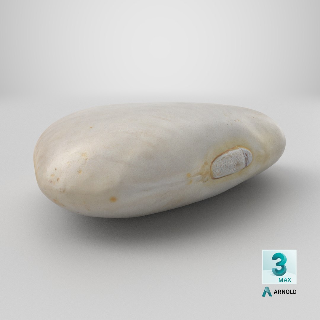 3D model Lima Bean 01 - 3D Scanned https://p.turbosquid.com/ts-thumb/1o/f9t6HR/DF/stemcell_max_arnold_render/png/1770841220/1920x1080/fit_q87/11d3d8f5c6f991fd7b3098b321b614b7e811a6f9/stemcell_max_arnold_render.jpg