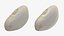Lima Bean 01 - 3D Scanned