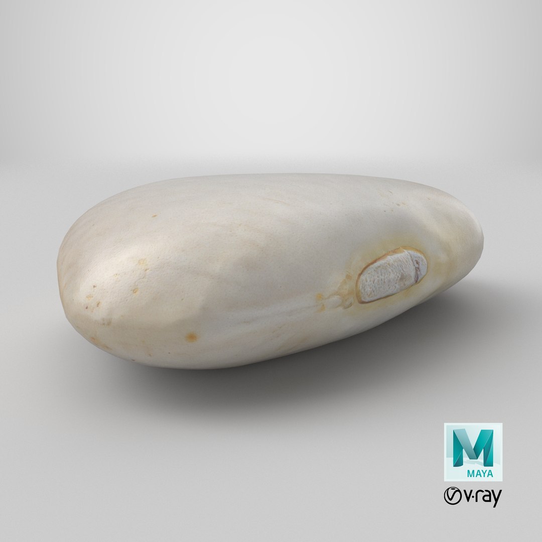 3D model Lima Bean 01 - 3D Scanned https://p.turbosquid.com/ts-thumb/1o/f9t6HR/oD/stemcell_maya_vray_render/png/1770841213/1920x1080/fit_q87/a8738a018b95c5d1442bc699d77343f494c3fd0f/stemcell_maya_vray_render.jpg
