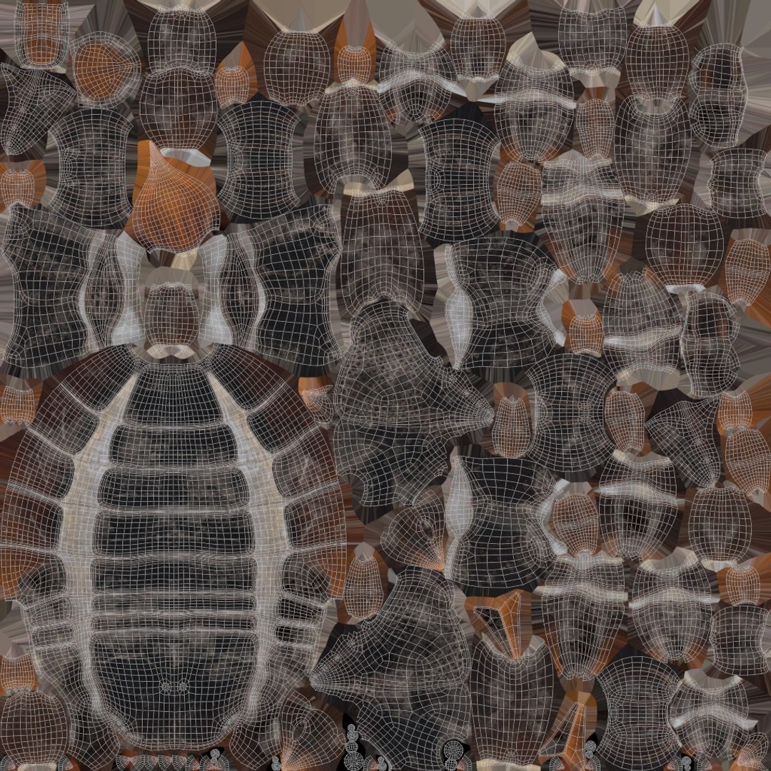 Insects Rigged Collection 3D model https://p.turbosquid.com/ts-thumb/1o/gCGyYj/DA/xuv_black_emperor/jpg/1776090039/1920x1080/fit_q87/94ba0d86e8a7d7f78afad3cc6232916e36e7009e/xuv_black_emperor.jpg