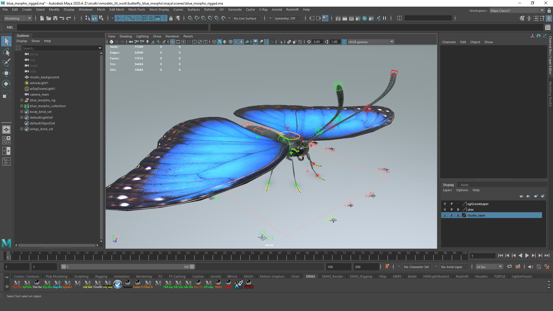 Insects Rigged Collection 3D model https://p.turbosquid.com/ts-thumb/1o/gCGyYj/Ki/blue_morpho_maya_screenshot_01/jpg/1776089992/1920x1080/fit_q87/ac64def5a0367de2f645ce8ab9fbbeabc4458288/blue_morpho_maya_screenshot_01.jpg