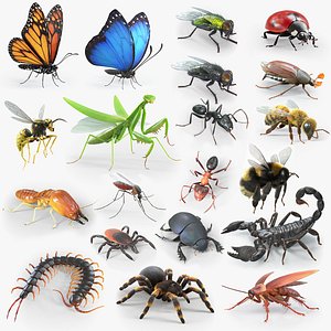 Insects Rigged Collection 3D model