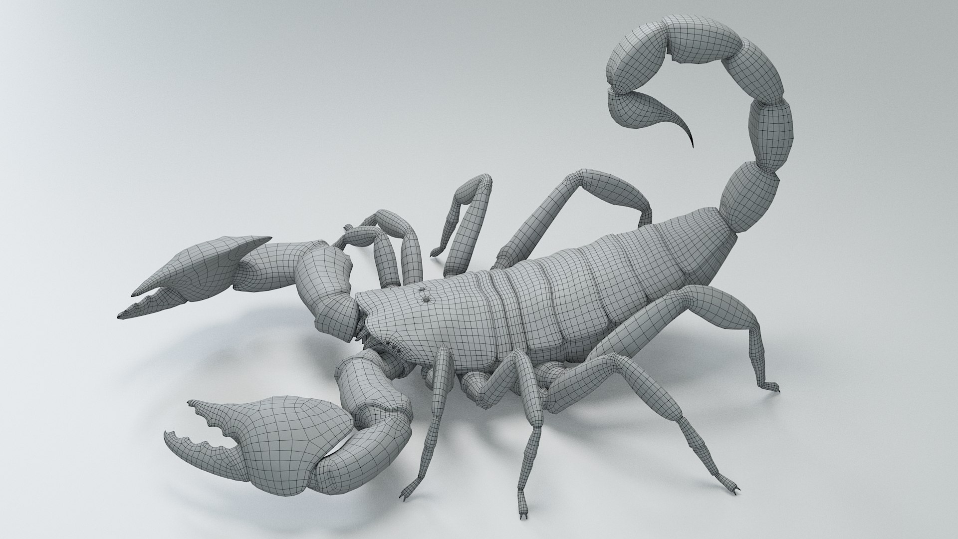 Insects Rigged Collection 3D model https://p.turbosquid.com/ts-thumb/1o/gCGyYj/x4/black_emperor_rigged_27/jpg/1776089986/1920x1080/fit_q87/41f67dc026caa9c14c9f6991895de63d9db3accc/black_emperor_rigged_27.jpg