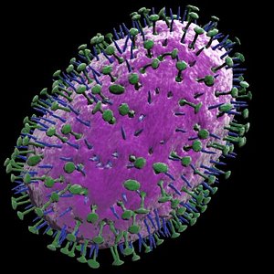 influenza virus h1n1 3d model