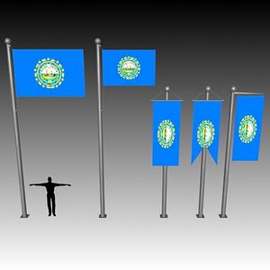 3d flag u