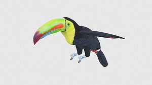 Low Poly Toucan Rigged With Realistic Texture 3D