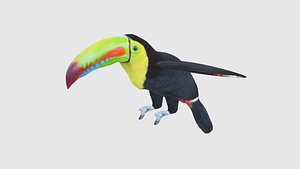 Low Poly Toucan Rigged With Realistic Texture