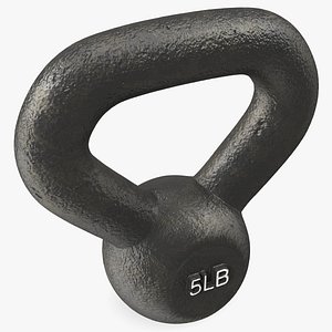 Fitness Solid Cast Metal Kettlebell Weight 5lb