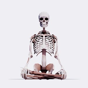 Low Poly Human Skeleton model