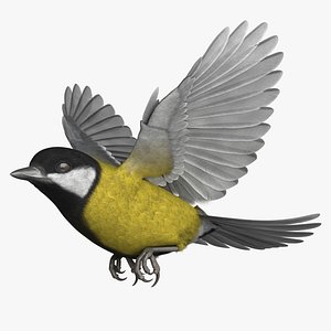 Great Tit Rigged