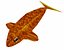 Golden Fish