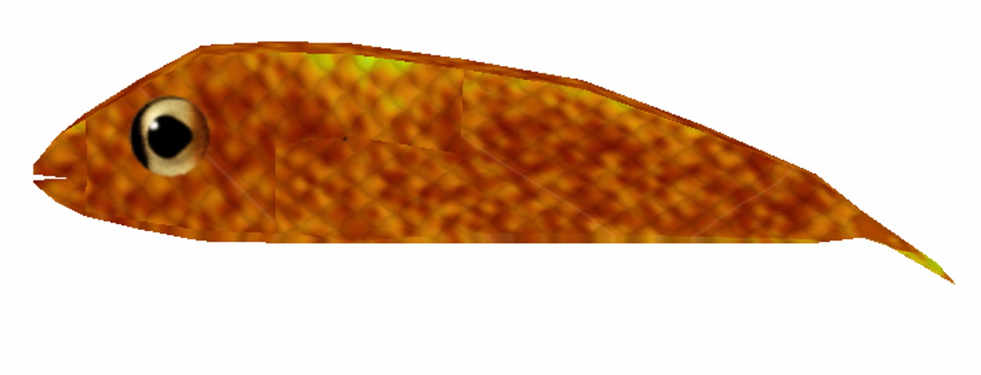 free golden fish 3d model https://p.turbosquid.com/ts-thumb/1p/KkMeWa/73ubvHvb/goldenfish4/png/1276749264/1920x1080/fit_q87/f71c866a38ec56cb75727f5438fc0351b2d0e7df/goldenfish4.jpg