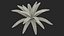 Collection de plantes 3
