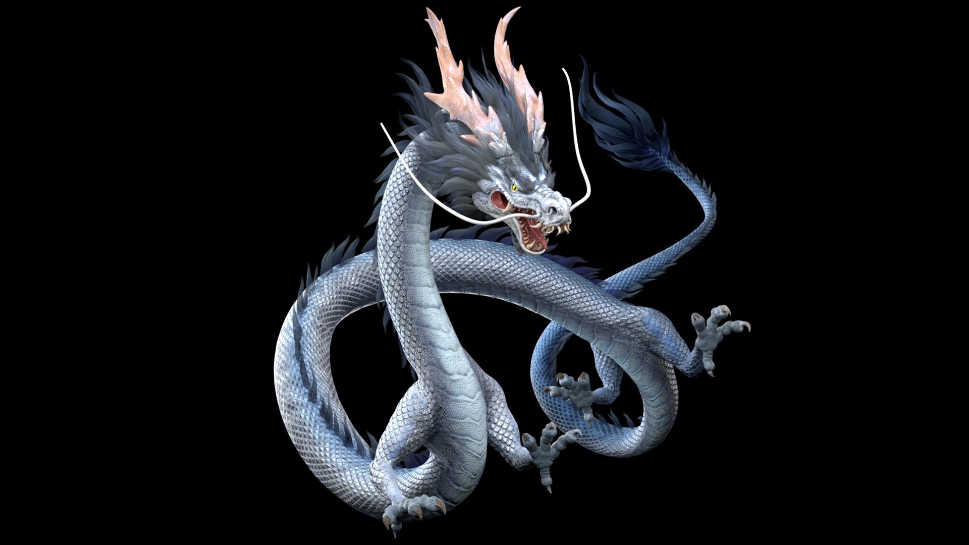 dragon 3D https://p.turbosquid.com/ts-thumb/1p/QDUNdb/ns/dragon05_02/jpg/1684724299/1920x1080/fit_q87/19319dc2f9a3a70c6f431111279861bcb48dc2ec/dragon05_02.jpg