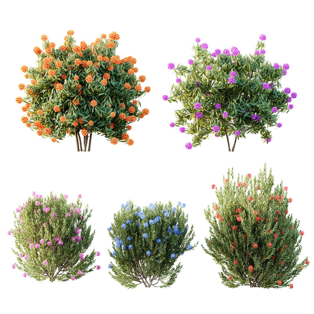 3D AV 14 Different sets of spring and summer shrubs https://p.turbosquid.com/ts-thumb/1p/aKZfd2/2Z/f/png/1753173573/1920x1080/fit_q87/81cf391d06227f20232afe9bd496cfa46fdae175/f.jpg
