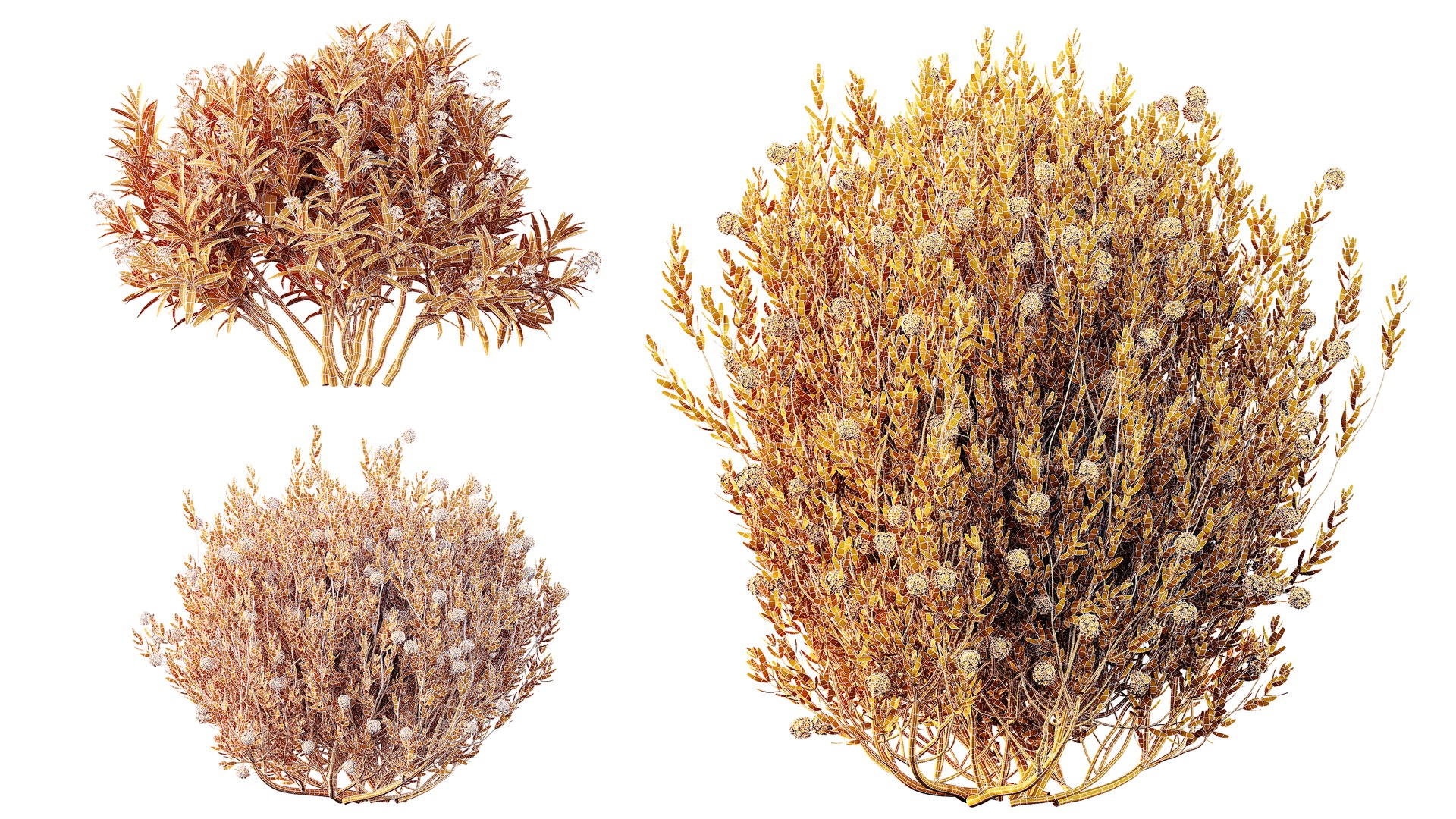 3D AV 14 Different sets of spring and summer shrubs https://p.turbosquid.com/ts-thumb/1p/aKZfd2/4d/07/png/1752729417/1920x1080/fit_q87/ceae0c599e4ca5f438b05f81e1700011a7bd14a2/07.jpg