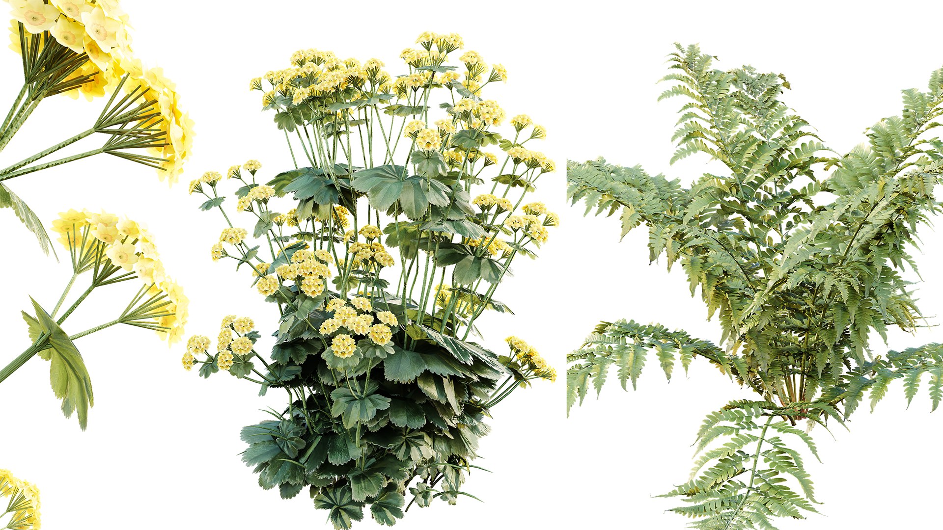 3D AV 14 Different sets of spring and summer shrubs https://p.turbosquid.com/ts-thumb/1p/aKZfd2/5S/02/png/1751090784/1920x1080/fit_q87/9d4572a208b4e7acf72b7009c1bda0210b57c0a5/02.jpg