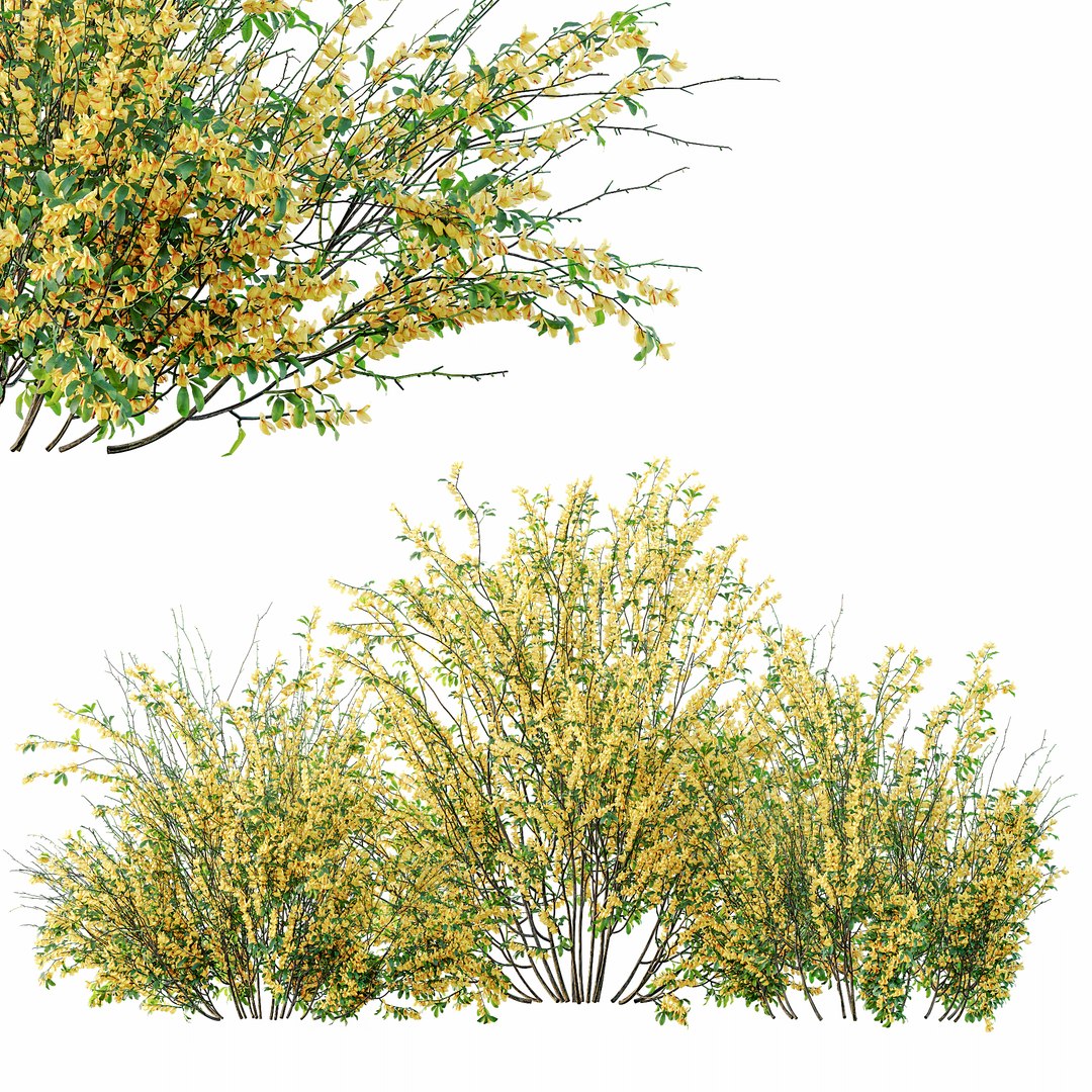 3D AV 14 Different sets of spring and summer shrubs https://p.turbosquid.com/ts-thumb/1p/aKZfd2/HX/h/png/1753173574/1920x1080/fit_q87/80f4e55a034d46cb068627cf9879c34c8c6b803d/h.jpg
